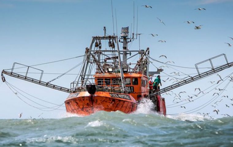 Argentine Fisheries Industry Estimates Exports To Drop 30% This Year ...