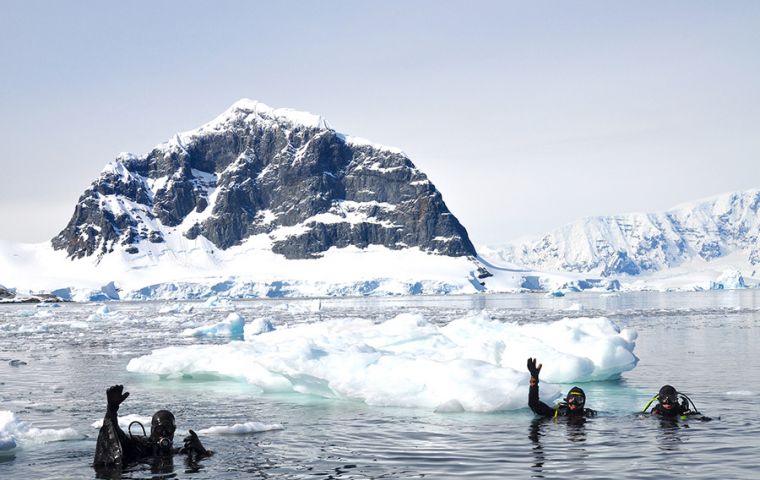 The bivalves aren’t native to Antarctica, and there’s never been any evidence of young mussels surviving in the frigid temperatures of the South Ocean