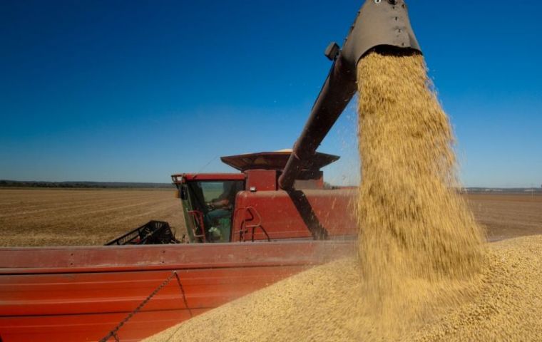 Rains at the end of February in Brazil delayed harvesting and subsequent exports, leading to record low stocks of soy and soy meal in China.