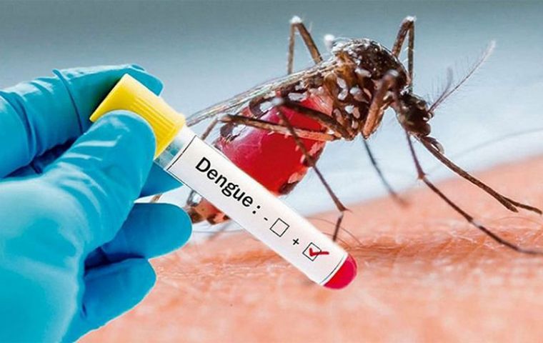 In Argentina since August last year until April 2020 the notifications system has reported 52,594 suspected cases of dengue, Zica, Chicungunya and Yellow fever. 