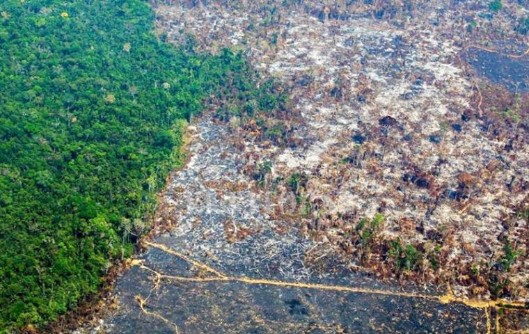 Bolsonaro drew scathing international criticism last year after he downplayed huge wildfires that devastated the Amazon from May to October.