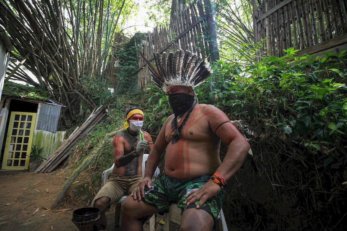 Desperate Efforts To Save Indigenous People From Tribes In The Amazon Rainforest — Mercopress