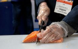 “We can't send any salmon to China now, the market is closed,” Regin Jacobsen, CEO of Oslo-listed salmon supplier Bakkafrost said.