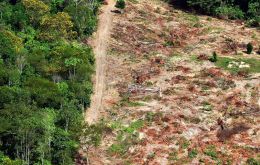 Deforestation of Brazil's Amazon surged to an 11-year high in 2019and has risen a further 34% in the first five months of 2020, according to preliminary INPE data