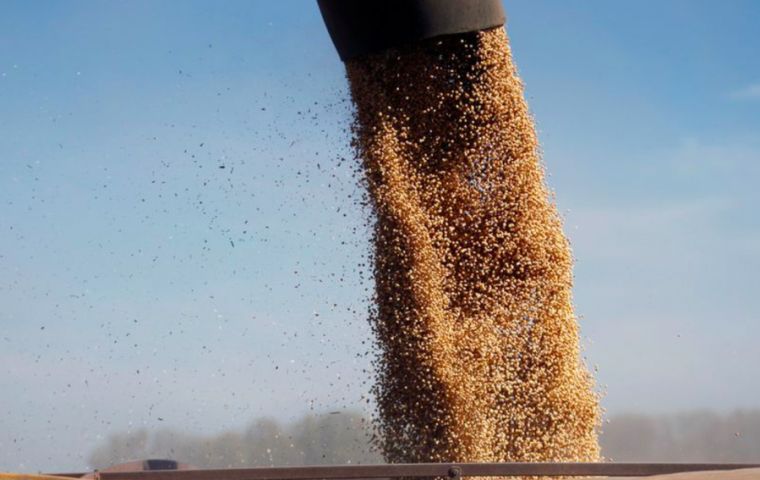 Data from the Chinese Customs indicate that the country imported 8.86 million tons of Brazilian soybeans in May, the highest volume since May 2018