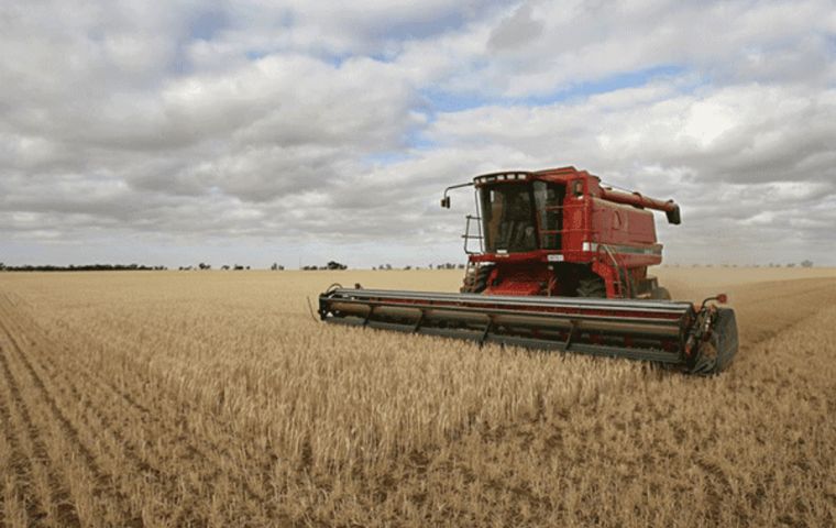 Wheat production forecasts have been raised for India and the Russian Federation, more than offsetting a cutback to the EU and the UK expected outputs.