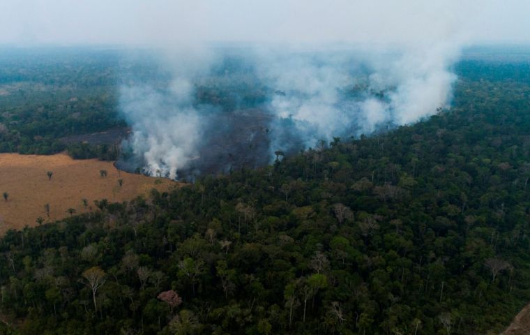 Destruction rose 10.7% for the month, compared to June 2019, according to national space research agency Inpe