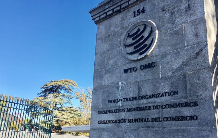 After a series of eliminations based on consensus, starting in September, the winner will take the WTO wheel in the midst of a global economic crisis and pandemic