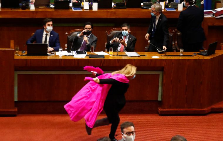 Wearing a face mask and a pink shawl streaming behind her, Ms Pamela Jiles sprinted past bemused senior ministers in president Piñera's administration 