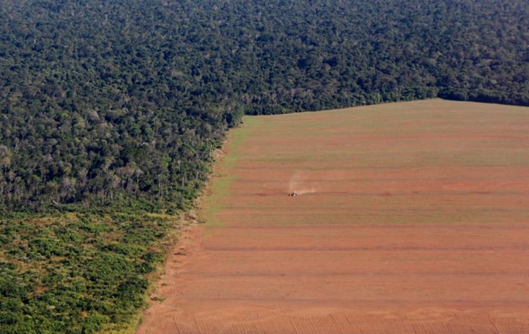 There are only a few “rotten apples” in the meat and soy supply chains, with only 2% of farms causing 62% of illegal deforestation in the analyzed area