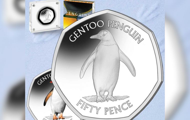 The reverse of the coins features a single stationary gentoo penguin, standing on ice
