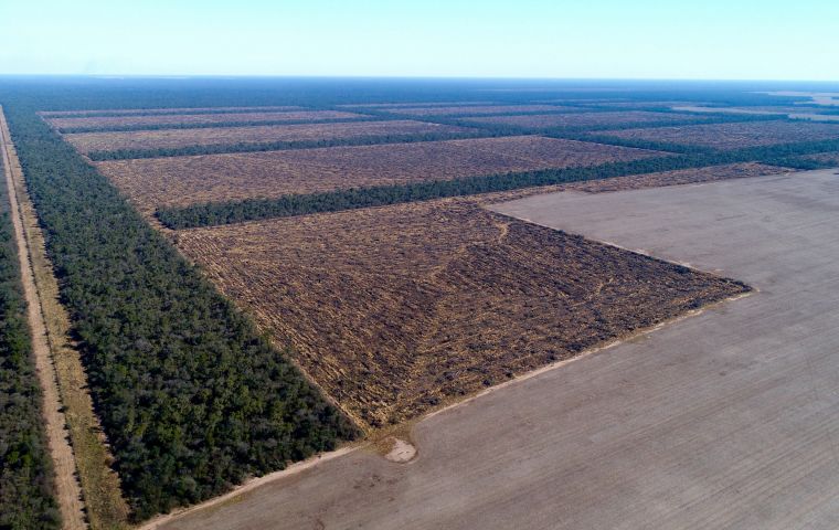 A UN report published in 2015 identified Argentina as one of the most deforested countries in the world. Between 1990 and 2015, it lost forests equivalent to Scotland