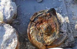 An Israeli mine found in Minefield 14 nearby.