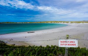 The beauty of Yorke Bay, the white beach that stretches along the coast east of Gypsy Cove outside of Stanley,