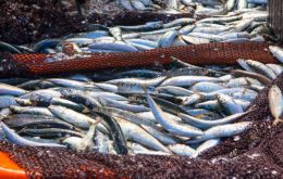 Brazil exports around 6,000 tons of fish, and by-products annually, with a revenue of US$12 million