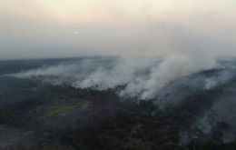 Fires in Brazil's Amazon for the month of August hit a nine-year high in 2019 and this month so far looks even worse