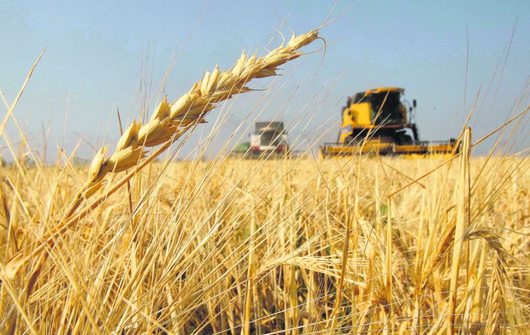 The Rosario Stock Exchange had cut wheat planted area estimates by another 100,000 hectares, bringing overall wheat area to 6.5 million hectares