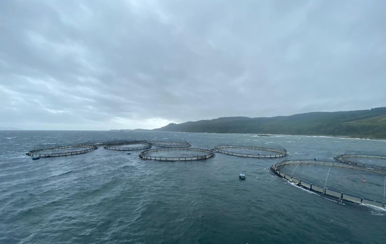 The fine, handed to salmon farming company Mowi, formerly known as Marina Harvest, was the largest ever for an environmental offense in Chile