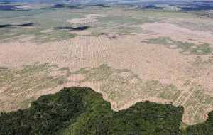 The deforestation of the Amazon rainforest increased 35% between August 2019 and July 2020 when more than 9,000 square kilometers where devastated