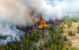 Almost all of fires are in Russia, EU's Copernicus Atmosphere Monitoring Service and the European Centre for Medium-Range Weather Forecasts jointly reported.