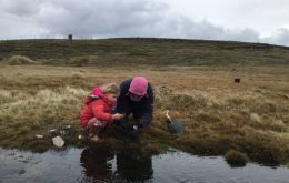 With peatlands making up around 40% of the Islands, the Falklands are one of the most peat rich places in the world (Pic @FI_Conservation)