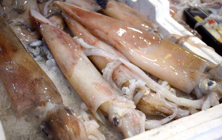 The Changchun COVID-19 prevention office said the squid had been imported from Russia by a company in Hunchun city and brought to the provincial capital.