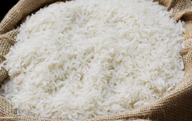 The quota establishes that until December this year, 400,000 tons of rice may be imported from countries outside Mercosur without any tariffs.