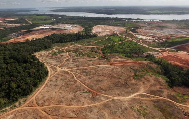 Abag was among roughly 230 nongovernment organizations, companies and associations that called on the government of Bolsonaro to combat deforestation