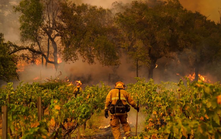 The fire erupted before dawn on Sunday in the heart of the Napa Valley wine-growing region, and had spread by afternoon across 810 hectares