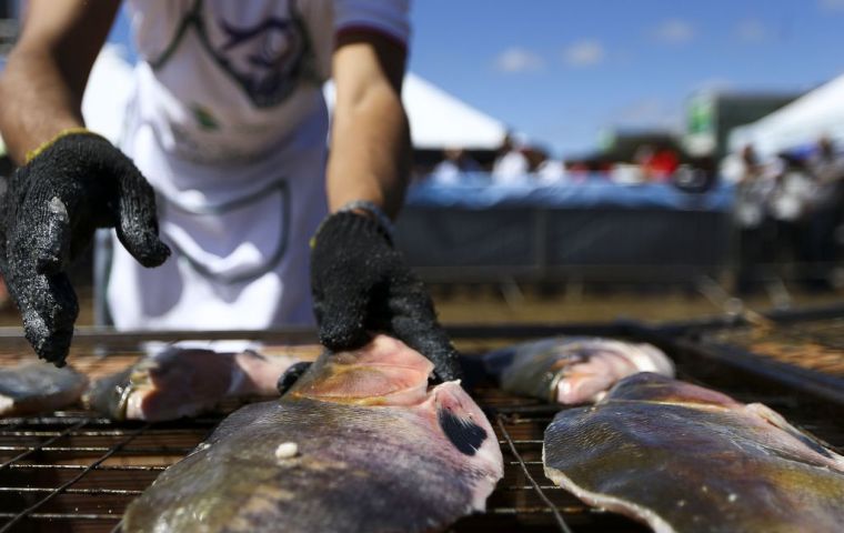 Examinations were carried out on 19 samples of fish exported from Brazil. The virus was found in the packaging of only one of them
