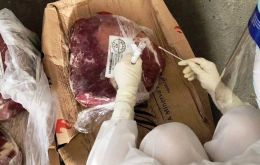 Chinese customs said on Thursday, the suspension came after a package of frozen boneless beef from Minerva SA had tested positive for the coronavirus.