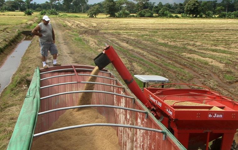 In an attempt to contain price increase for consumers, Brazil decided to lower the  Common External Tariff (TEC) on rice imports from outside Mercosur to zero.