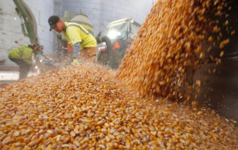 The possible tariff exemption comes amid record high prices for both grains in Brazil, squeezing Brazilians whose incomes have already been hit hard by the coronavirus pandemic