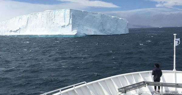 CCAMLR: 287 women scientists call for a Marine Protected Area in ...