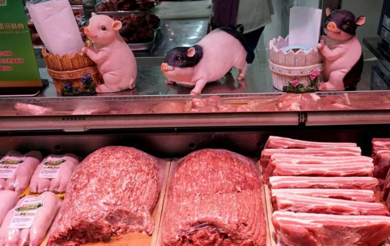 Pork meat imports reached 380,000 tons, with an increase of 121.6% in the annual comparison because of the problems caused by the African swine fever