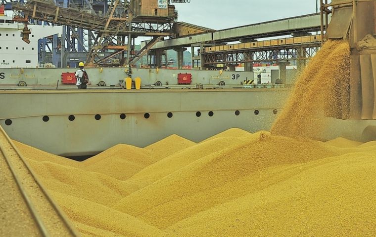 In terms of exports, the end of the grain harvest caused agricultural exports to fall a daily average of US$ 36.93 million compared to October last year