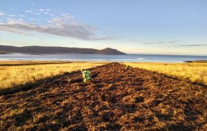 A patch of land that has been cleared of mines by a prodder. However land was later restituted to its environment original