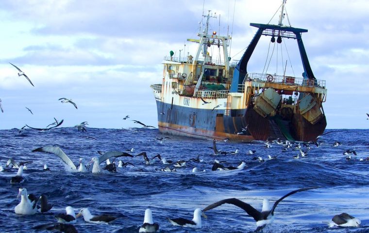 A series of examples of mutilated seabirds, both dead and alive, documented by the team of researchers.