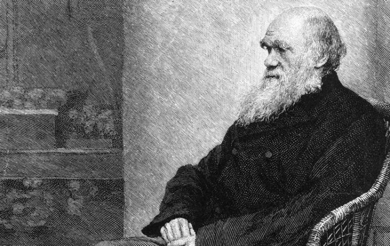 The notebook, along with another from the 19th century naturalist, went missing from Cambridge's collection of Darwin documents in 2001