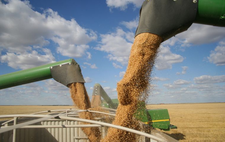 Wheat export prices rose, linked to reduced harvest prospects in Argentina, as did maize prices on account of lower output expectations in US and Ukraine