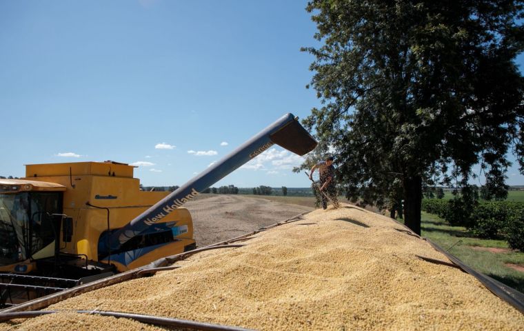 The strong demand in the domestic market and the record export volumes have led Brazil to renew maximums in soy imports also this year