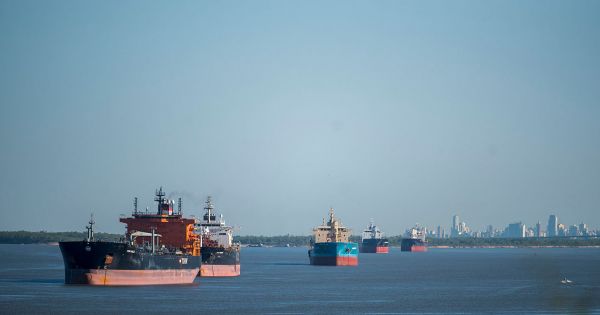 Two weeks of industrial action in Argentina's soy crushers and export ports - Vimarsana News