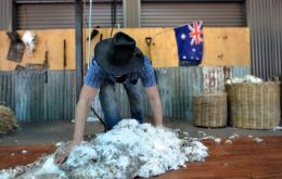 According to the statement, the 2021 quota for New Zealand wool and wool top is 36,936 tons and 665 tons, while the quota for Australian wool is 38,288 tons.