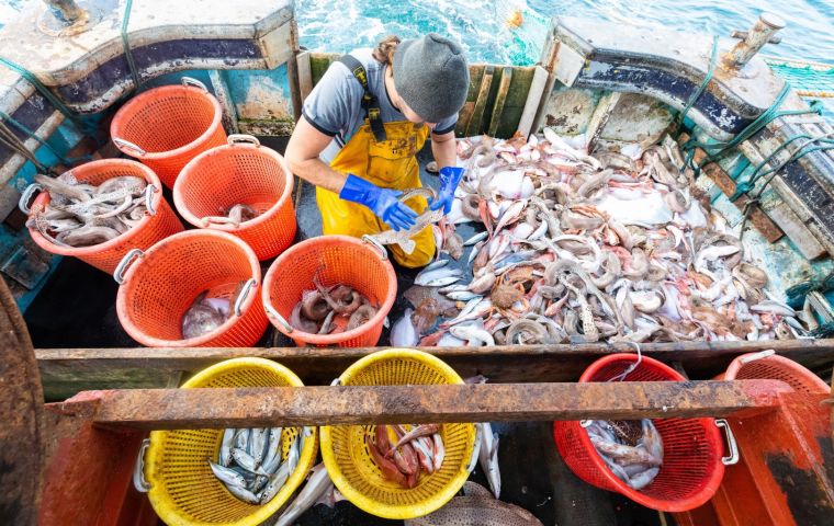 The Scottish Seafood Association claims up to 25 trucks were backlogged for clearance due to computer problems in Boulogne on Tuesday