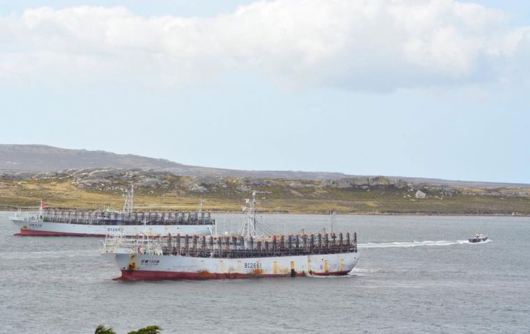 A busy day in Stanley Harbor when jiggers and trawlers call in for their licenses.