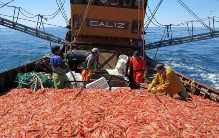 Puerto magazine points out that some 30,000 tons are discarded during the shrimp season, “an illegal situation that occurs despite the Federal Fisheries bill in its Article 21”