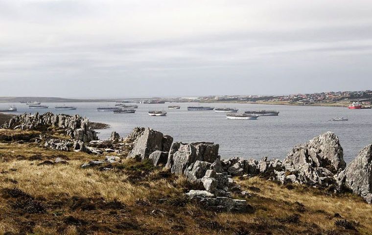 Jiggers and Trawlers in Stanley harbor waiting to collect their licenses to begin the fishing season (Pic Mike P. Evans)