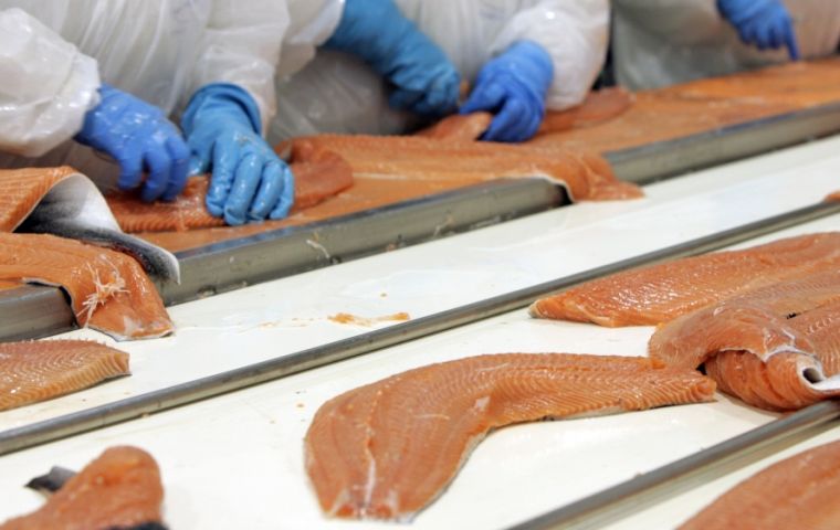 The Ethics Code is the first of its kind in the Chilean salmon industry, and its compliance by the companies will be monitored by an “Ethics Committee” 