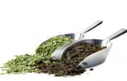 Zeewaar Seaweed Herbs are for sale in supermarkets and specialty stores through the Netherlands
