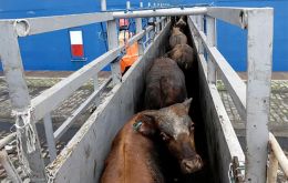 The cost of Brazilian cattle has risen as the world's largest beef exporter sold record volumes of the protein to countries like China last year